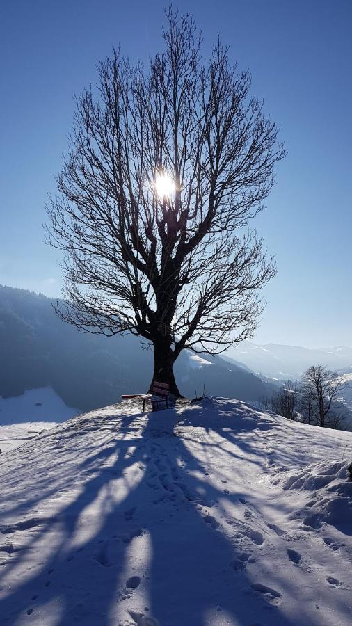 Gasthof Schoental Oberau Exteriér fotografie